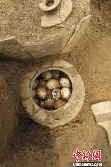 2500年以上前の鶏卵、江蘇省の墓から発見