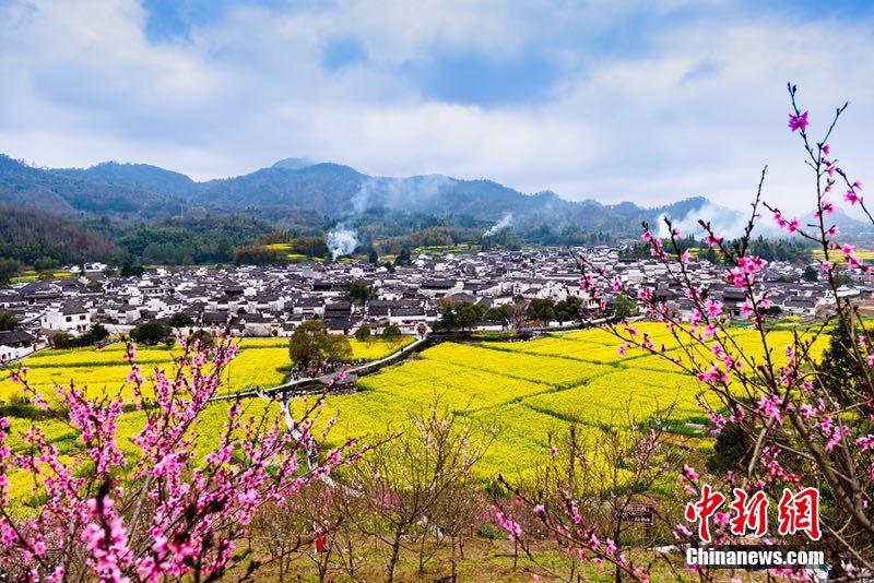 菜の花に囲まれた徽州建築　安徽省