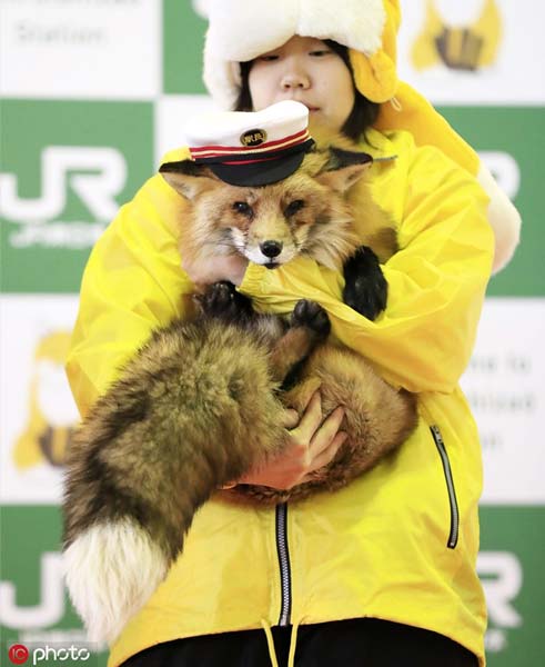 宮城県の駅に「キツネ駅長」誕生　現(xiàn)地観光業(yè)をPR