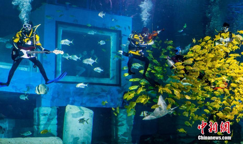 水中のミュージシャン登場(chǎng)！水族館のダイバーが見事なパフォーマンス　広東