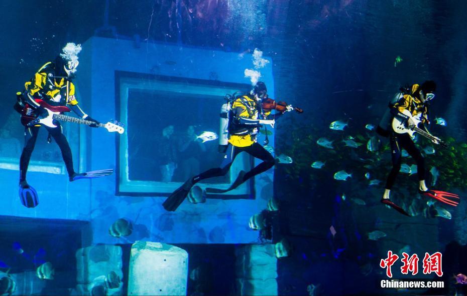 水中のミュージシャン登場！水族館のダイバーが見事なパフォーマンス　広東