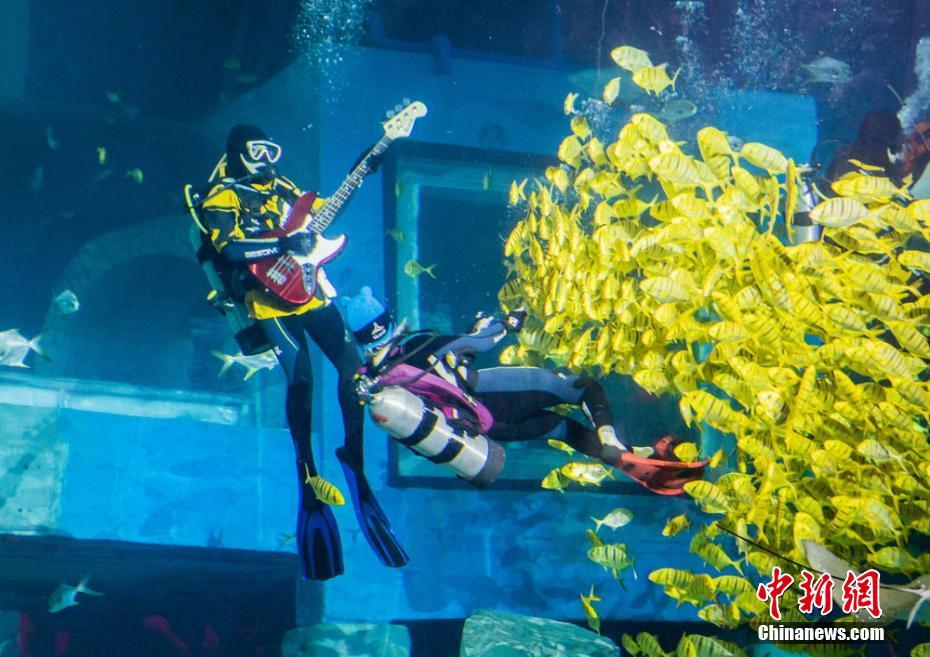 水中のミュージシャン登場(chǎng)！水族館のダイバーが見事なパフォーマンス　広東