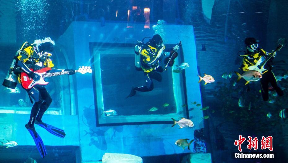 水中のミュージシャン登場(chǎng)！水族館のダイバーが見(jiàn)事なパフォーマンス　広東