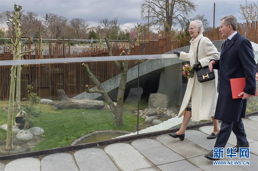 デンマークのコペンハーゲン動物園のパンダ館を見學するデンマークの女王マルグレーテ2世(撮影?郭晨)。