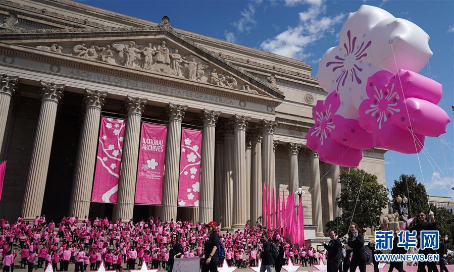 サクラサク！米ワシントンで全米桜祭り