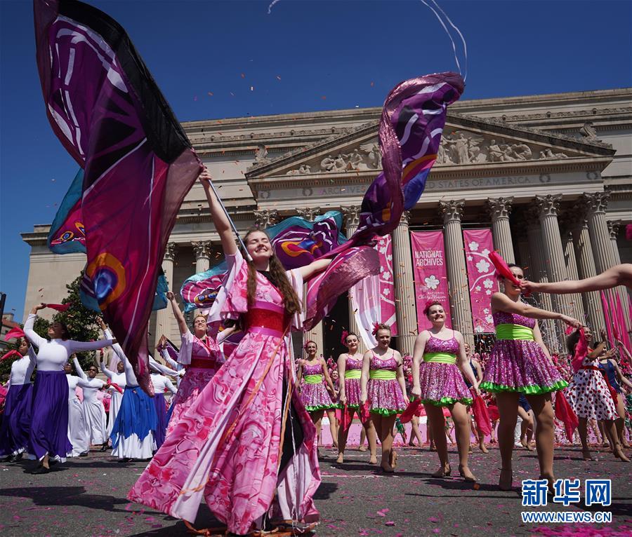 サクラサク！米ワシントンで全米桜祭り