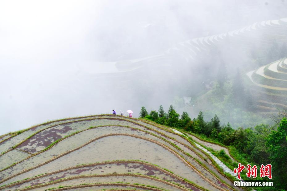 雨上がりの棚田の幻想的な雰囲気楽しめる広西チワン族自治區(qū)