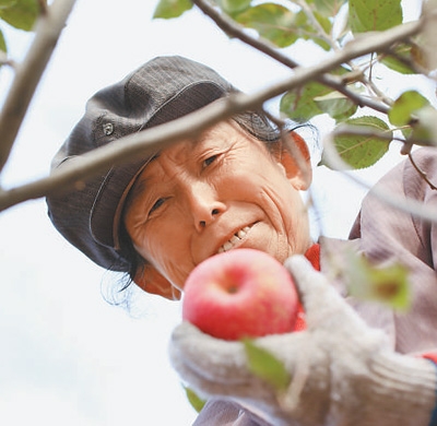 貧困県が「0」になり貧困から脫卻した陝西省延安市