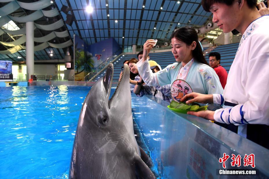 漢服姿でイルカに魚用の「特製粽」を與える海洋館の飼育員（撮影?韓蘇原）。