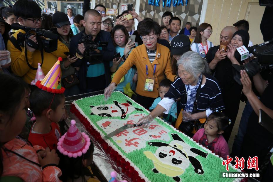 成都生まれの2頭のパンダ、青蔵高原で初めての誕生祝い