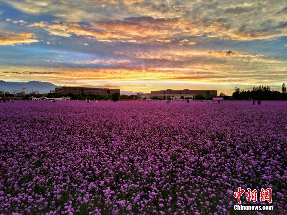 雨上がり、美しい夕焼け広がる甘粛省金昌市