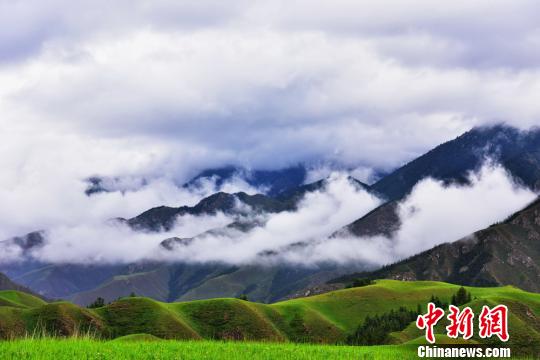 7月上旬、美しい風(fēng)景が広がる甘粛省張掖市粛南ユグル族自治県の草原（撮影?武雪峰）。