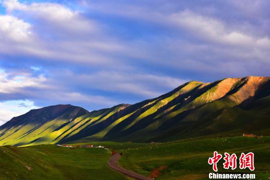 翡翠のごとき草原に點在する牛と羊　甘粛省南部の7月