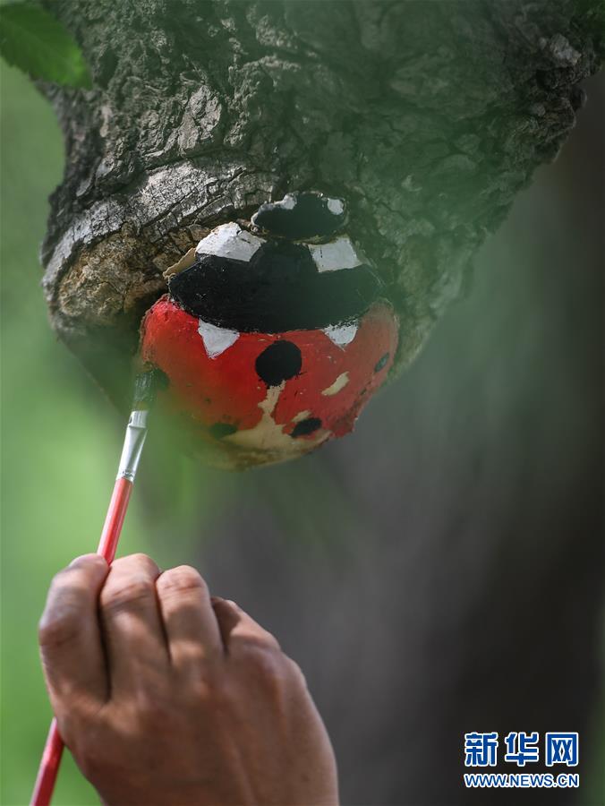 今にも動き出しそう？樹木に描かれた動物たち　吉林長春動植物園