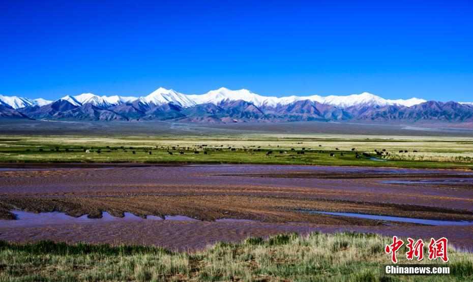 四季の風(fēng)景を同じフレームに収めることができる美しい高原風(fēng)景（撮影?康凱）。