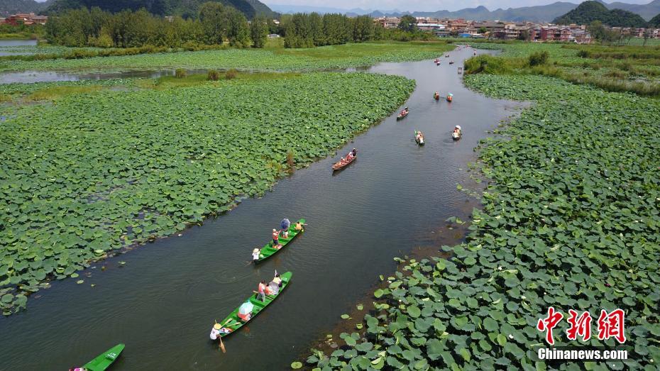 人々を魅了する風(fēng)光明媚な普者黒國家濕地公園　雲(yún)南省