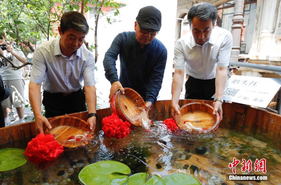 ゆらゆらと泳ぐ金魚(yú)楽しむ　北京の故宮で金魚(yú)のテーマ展