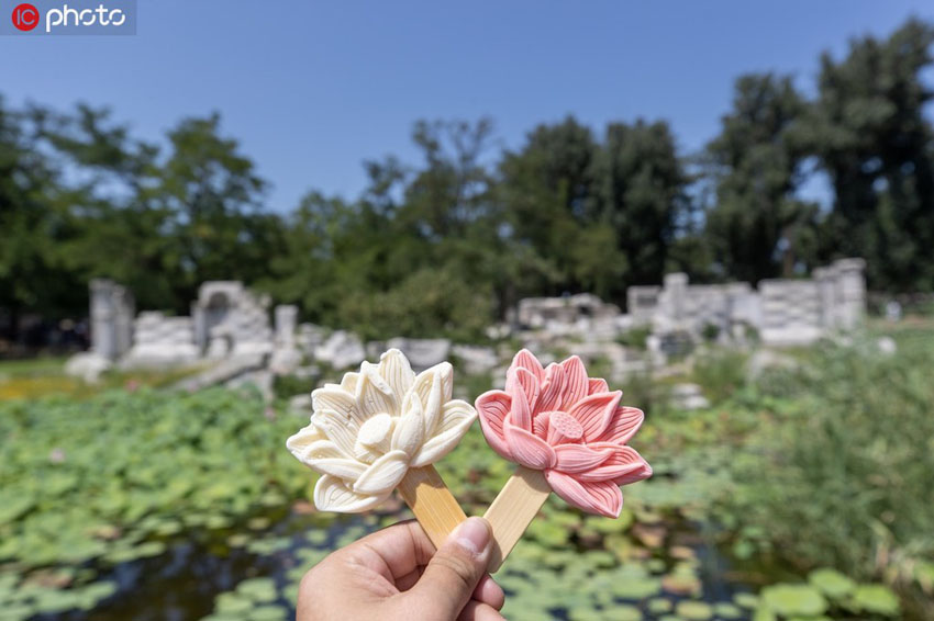 北京の円明園で販売が始まったハスの花型アイスクリーム（寫(xiě)真著作権は東方ICが所有のため転載禁止）。