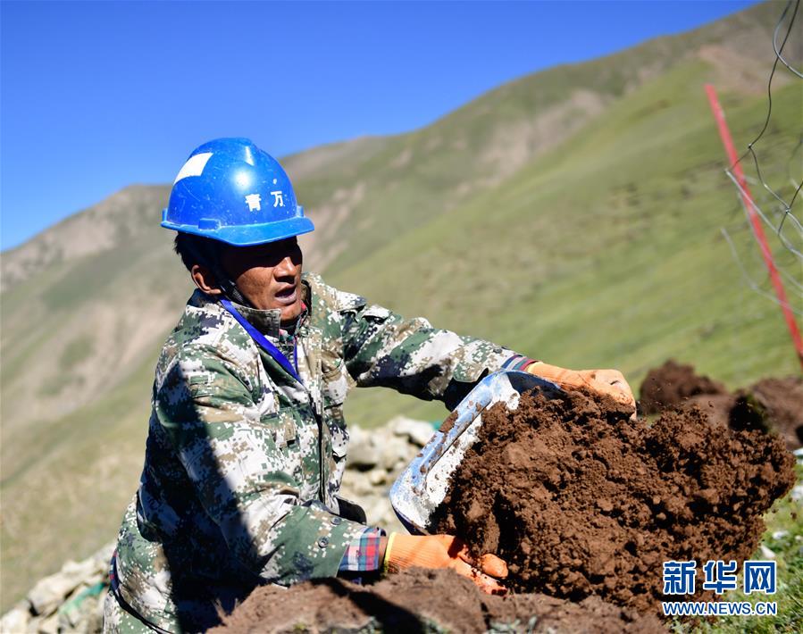 雲(yún)の上を行く電力網(wǎng)建設(shè)者