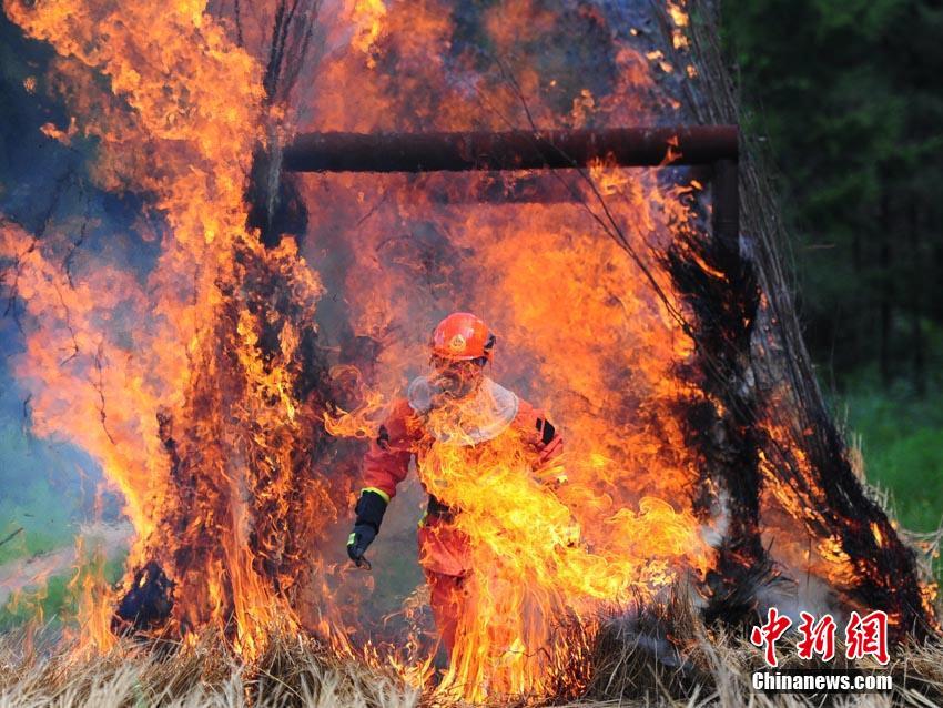 火災現(xiàn)場での心理行動訓練を行う森林消防隊員（撮影?劉棟）。