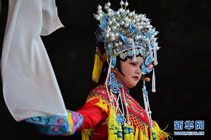 ドイツ?フランクフルトで「中國(guó)祭」