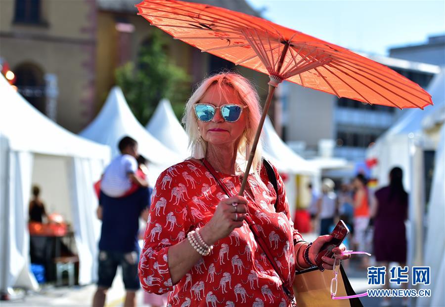 ドイツ?フランクフルトで「中國(guó)祭」