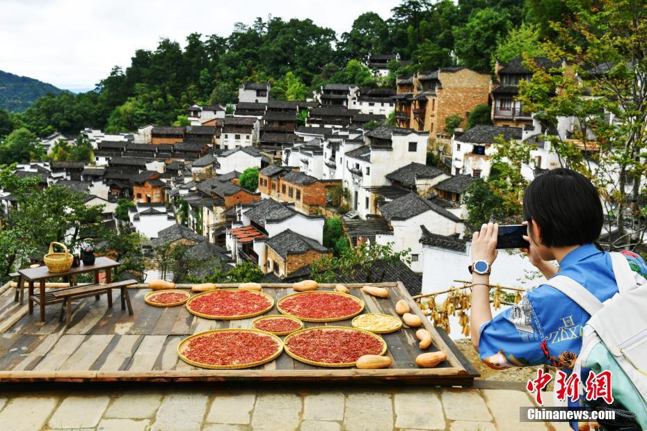 「秋の天日干し」の季節(jié)迎えた篁嶺村　江西省