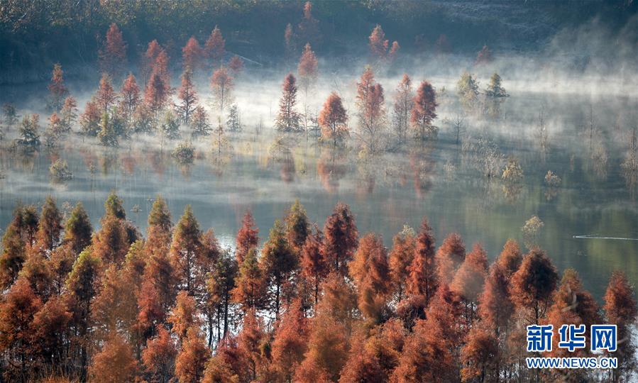 美しい中國(guó)の雄大な自然の風(fēng)景をピックアップ！