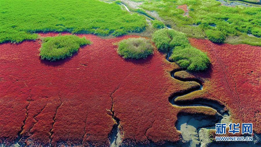 美しい中國の雄大な自然の風(fēng)景をピックアップ！