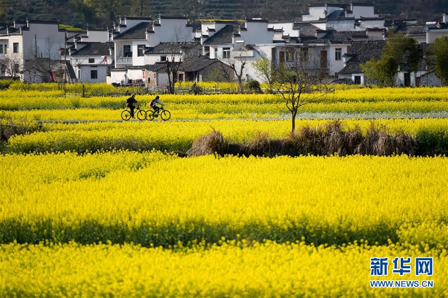 美しい中國(guó)の雄大な自然の風(fēng)景をピックアップ！