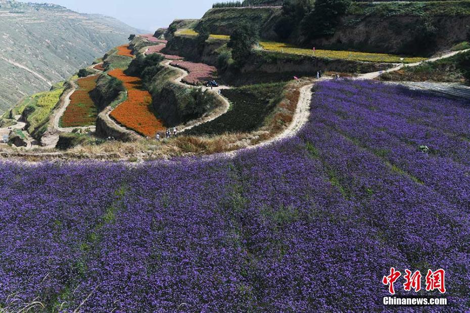 レインボーカラーの段々畑が広がる甘粛省蘭州市の山