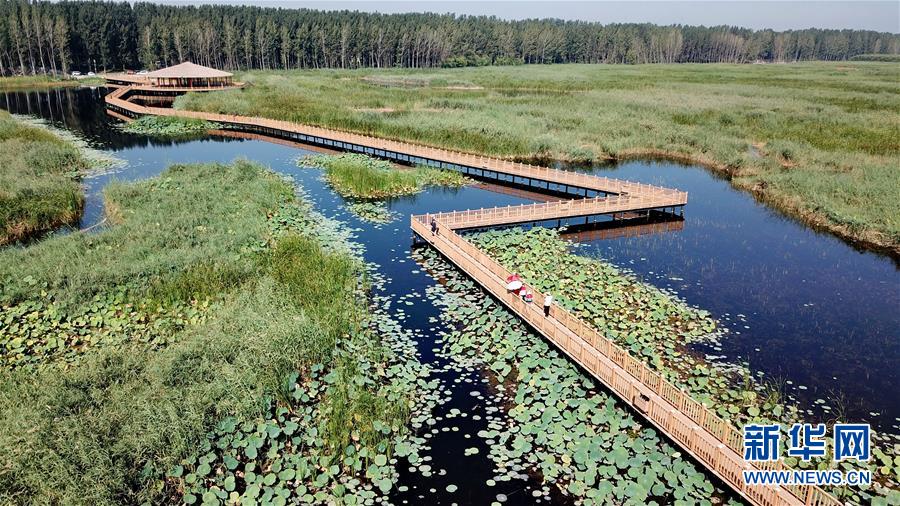 著実に進む雄安新區(qū)の重點プロジェクト建設(shè)