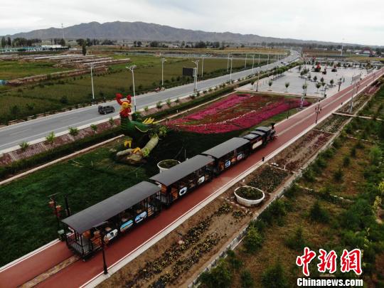 満開のランタナの花畑を走るミニSL　甘粛省山丹県