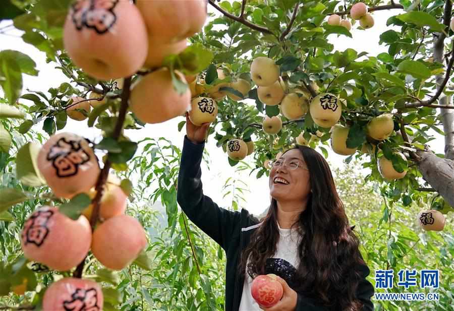 國慶節(jié)連休を多彩に楽しむ