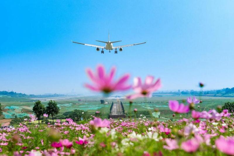 空港だけじゃない！成都雙流で行くべき人気スポット　四川省