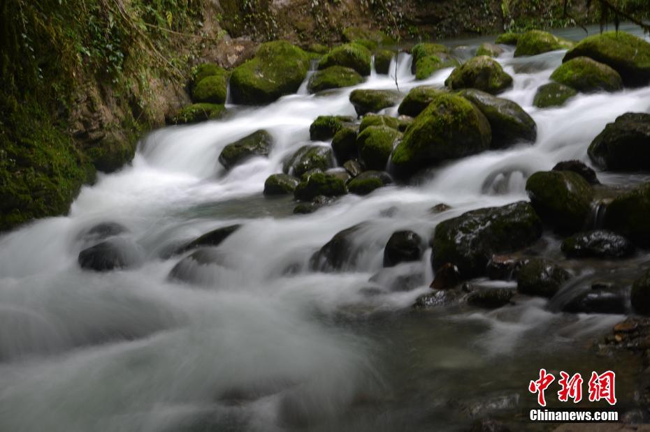 秋深まり絵のような絶景広がる四川省の巴山大峽谷