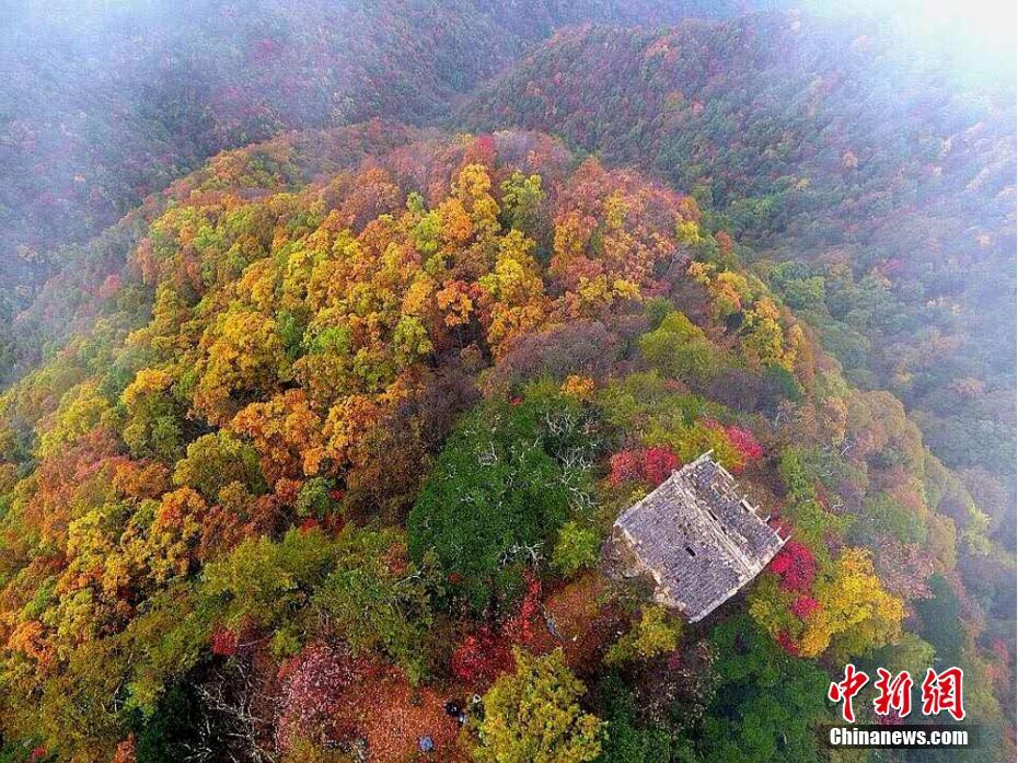 秋色に染まった両當、靜かで美しい「山の小都市」　甘粛省