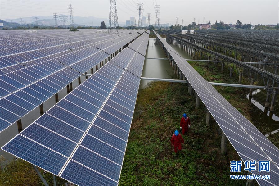 浙江省長(zhǎng)興県、漁?農(nóng)業(yè)と太陽(yáng)光発電の相互補(bǔ)完で農(nóng)村の振興促進(jìn)