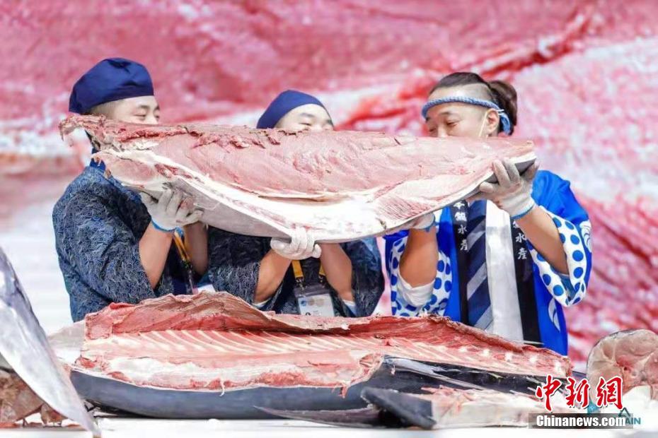 中國國際輸入博覧會で250キロの本マグロが注目集める