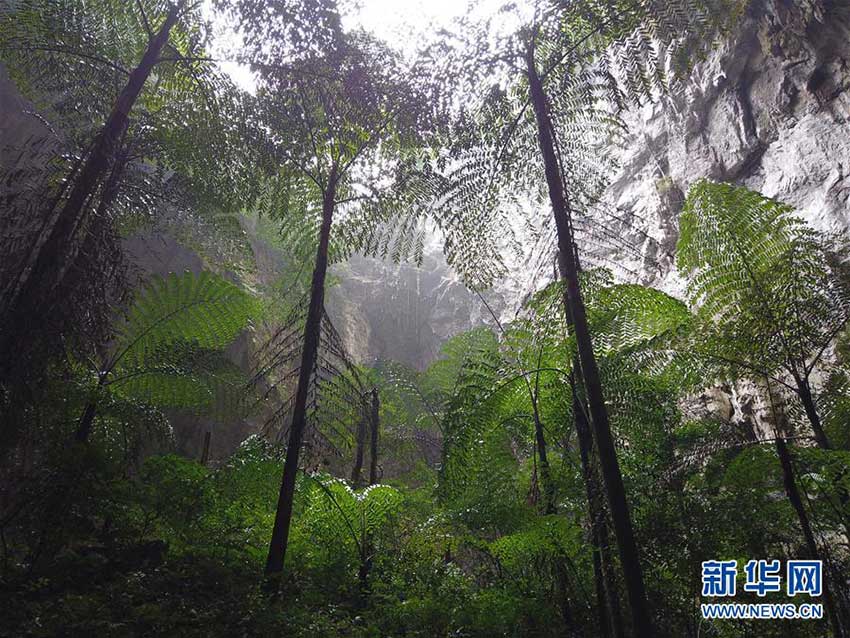 広西?那坡県で大型の「陥沒穴」群を発見