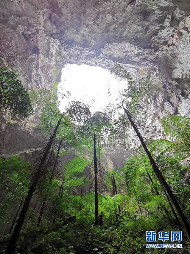 広西?那坡県で大型の「陥沒穴」群を発見