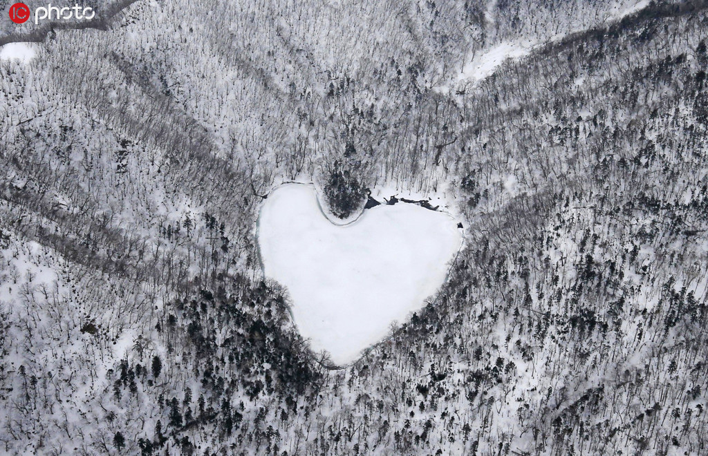 一面の銀世界にうっとり…空から眺めた世界の雪景色