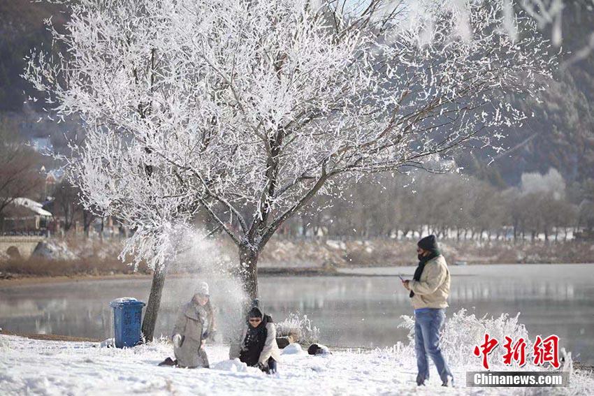 11月20日、「霧氷の都」と呼ばれている吉林市松花江畔で、今冬初の霧氷が観測され、大勢の市民や観光客が足を運(yùn)び、記念寫真を撮影する様子（撮影?石洪宇）。