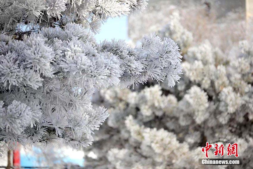 「霧氷の都」吉林市で今年初の霧氷を観測　吉林省