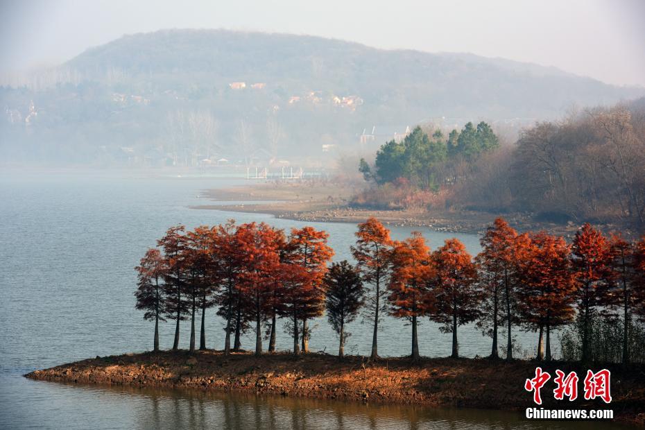 霧と紅葉の「競演」で絶景広がる江蘇省天泉湖景勝地