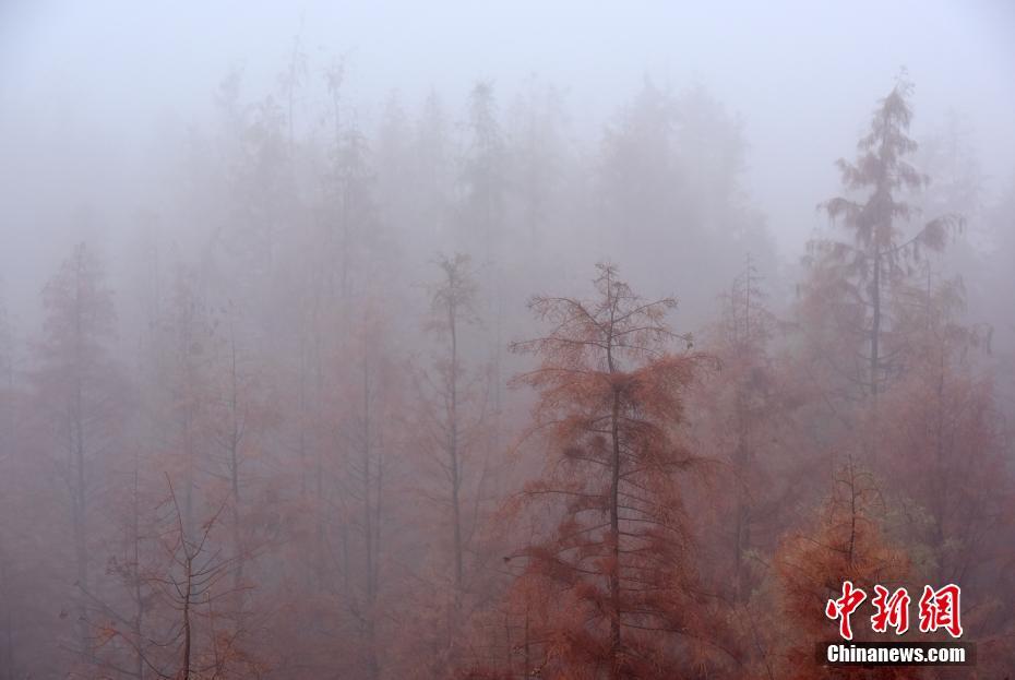 霧と紅葉の「競(jìng)演」で絶景広がる江蘇省天泉湖景勝地