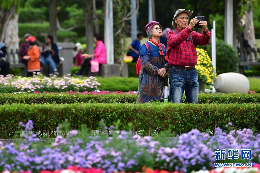 2019臺(tái)北菊展が開(kāi)幕　臺(tái)灣地區(qū)