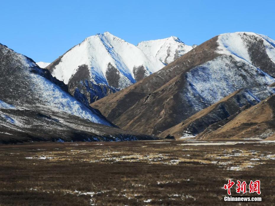 白い雪に覆われた甘粛省張掖市の山丹軍馬場(chǎng)（撮影?呉學(xué)珍）。 