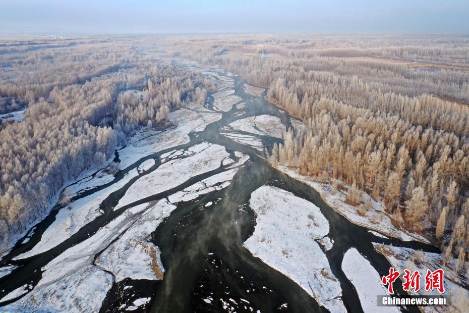 新疆の博爾塔拉河谷で「霧氷」の絶景