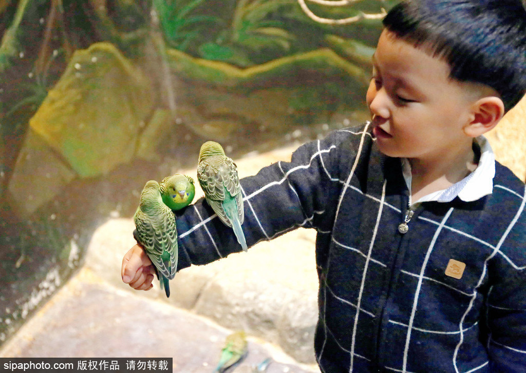 「ショッピングセンター動物園」が親子連れに人気　上海